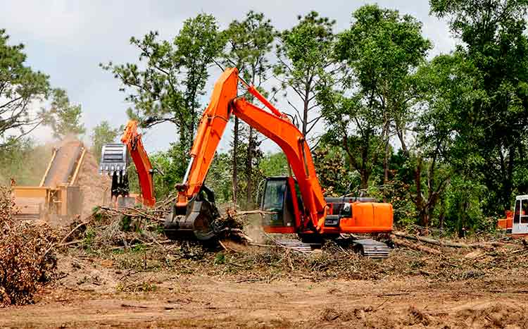 How much does professional land clearing services cost tractors