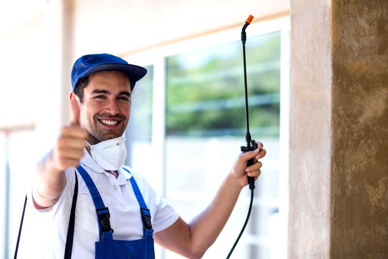 How to prevent pests infestation in your commercial property