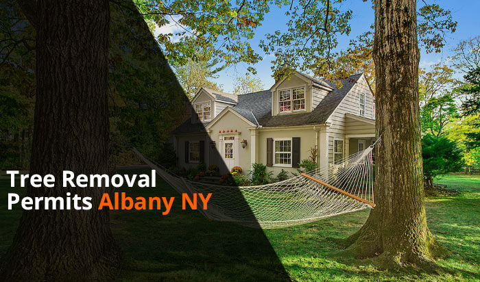 Tree removal permit Albany v1