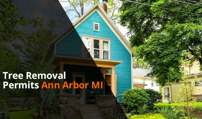 Tree removal permit Ann Arbor v1