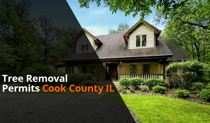 Tree removal permit Cook Country
