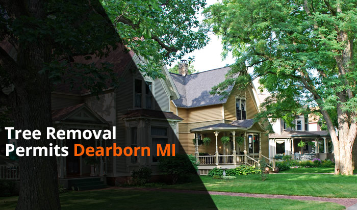 Tree removal permit Dearborn v1