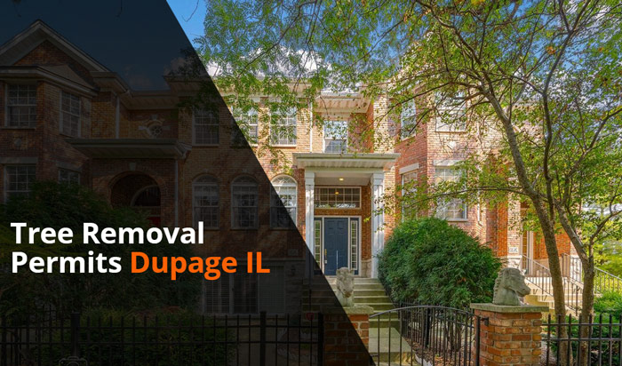Tree removal permit Dupage