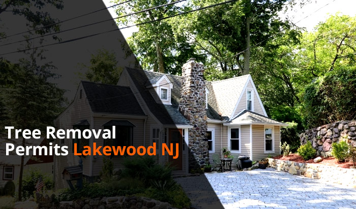 Tree removal permit Lakewood v1