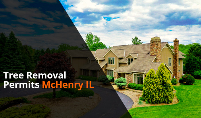 Tree removal permit McHenry