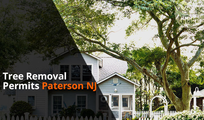 Tree removal permit Paterson v1
