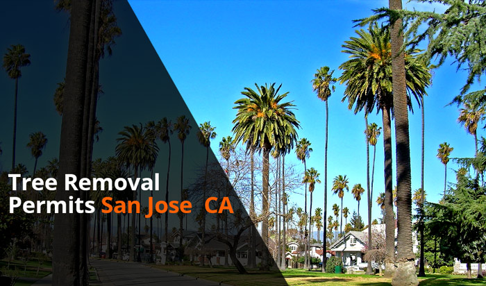 Tree removal permit San Jose