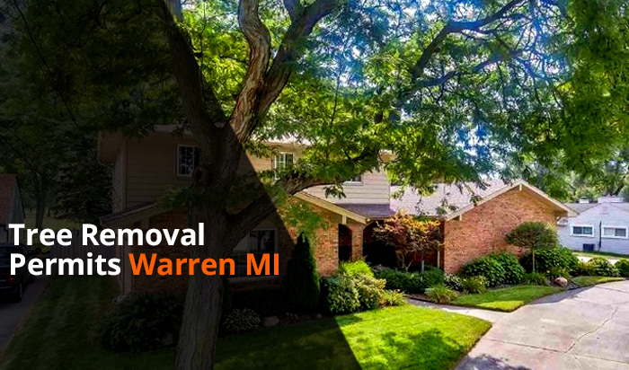 Tree removal permit Warren v1