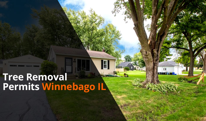 Tree removal permit Winnebago