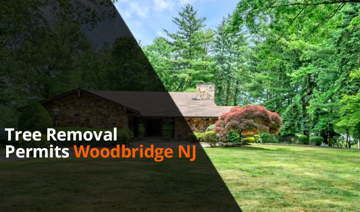 Tree removal permit Woodbridge v1