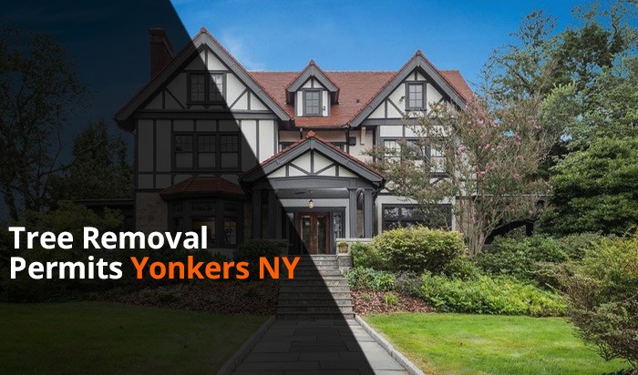Tree removal permit Yonkers v1