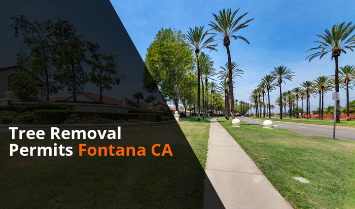 tree removal permits fontana ca