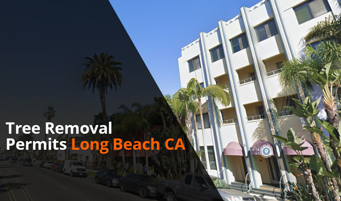 tree removal permits long beach ca2
