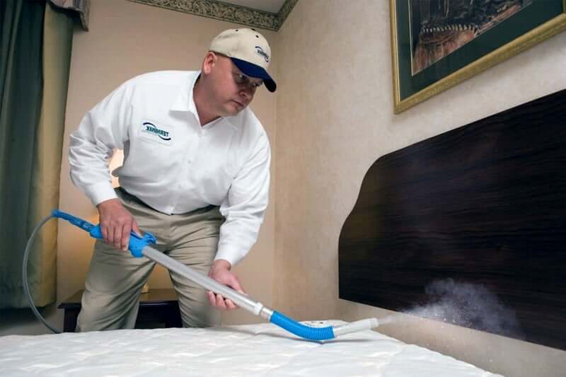 What is a heat treatment for bed bugs