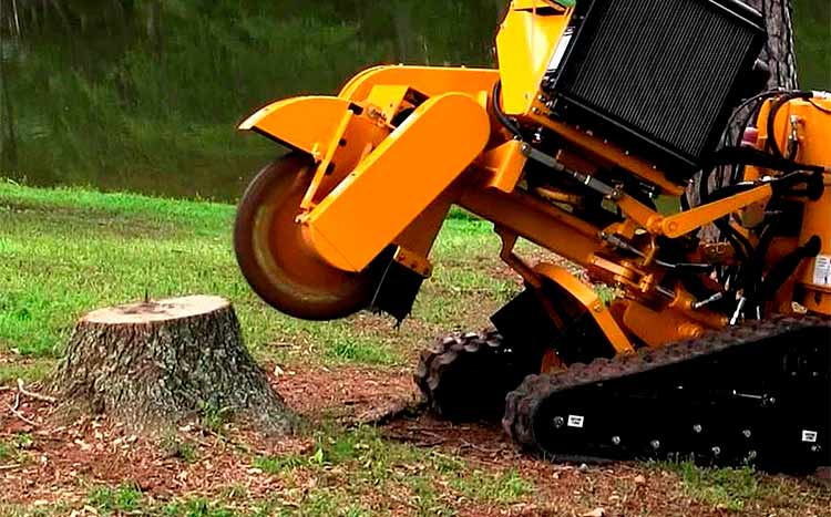 What is the Difference Between Stump Grinding and Stump Removal
