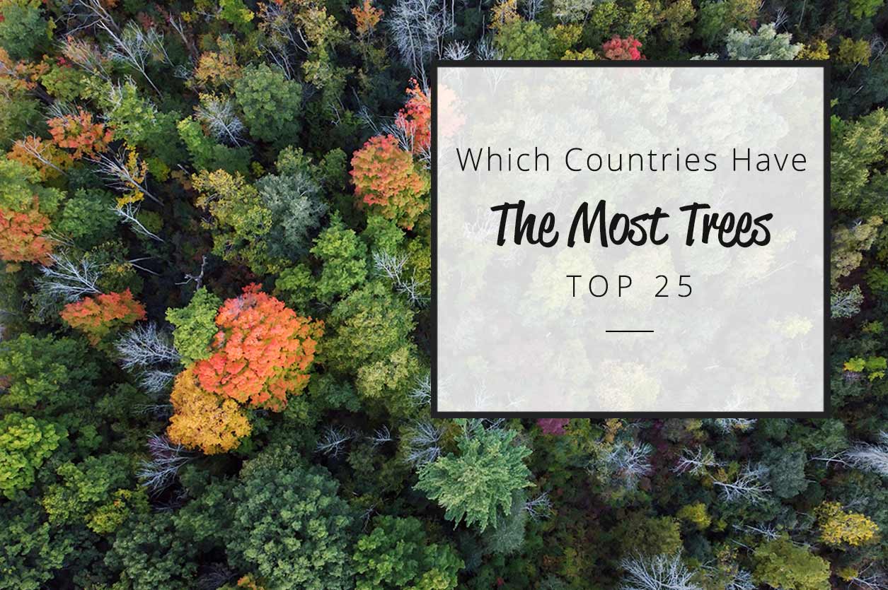 Which country have most trees