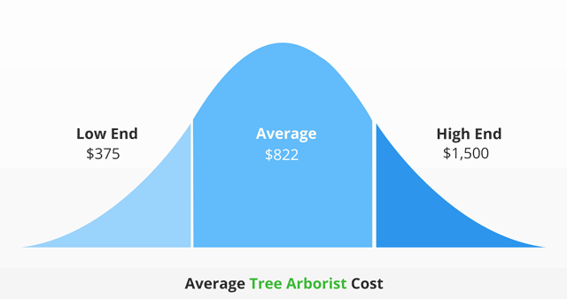 Average arborist cost infographic