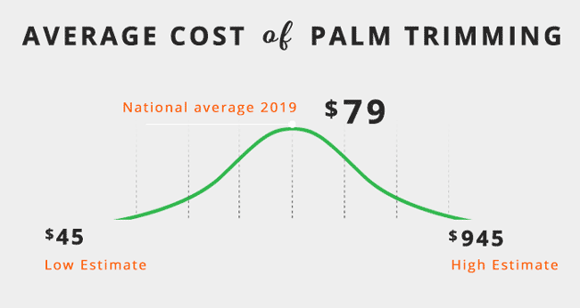 average cost of palm tree trimming